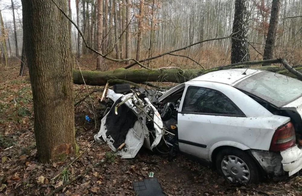 Samochód wypadł z drogi i uderzył w drzewo. Jedna osoba została przetransportowana do szpitala