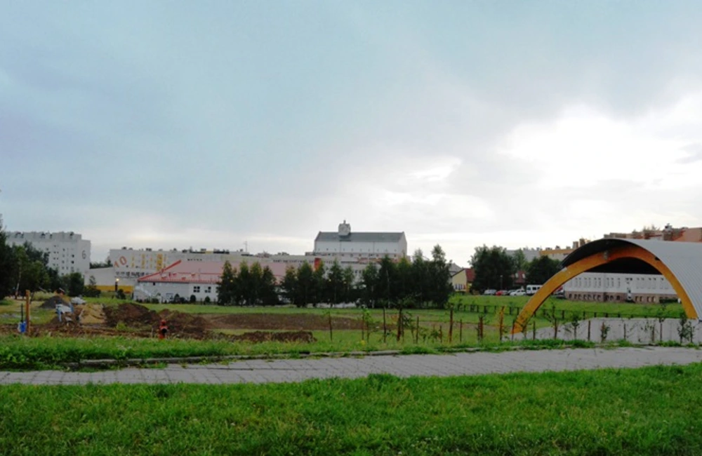 Mieszkańcy osiedla Krakowska-Południe przeciwko wycince drzew. Jest petycja