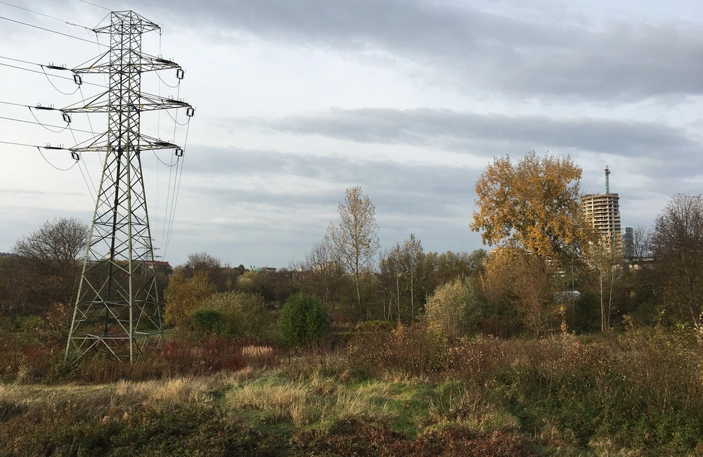 W poniedziałek sesja nadzwyczajna. Tematem ochrona terenów przy Wisłoku przed zabudową