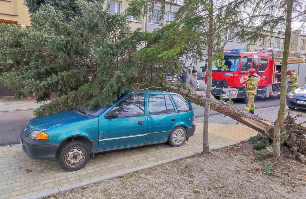 Silny wiatr na Podkarpaciu. Blisko 500 interwencji strażaków