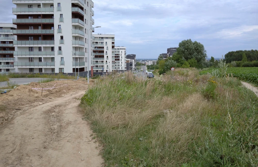 Budowa nowego odcinka ul. Wołyńskiej na osiedlu Kotuli