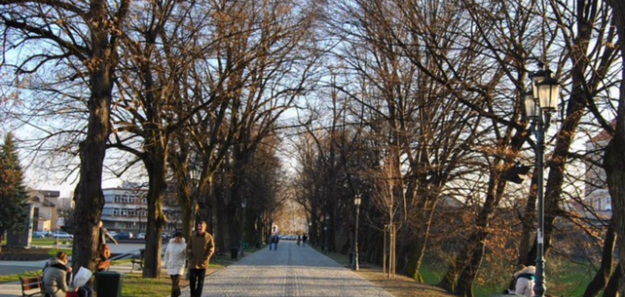 ALEJA POD KASZTANAMI, Rzeszów