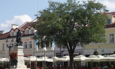 Rynek, Rzeszów