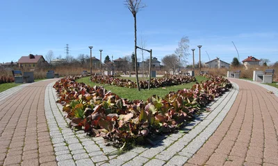 Park Papieski, Rzeszów