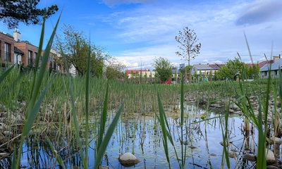 Ogród kieszonkowy przy al. Sikorskiego, fot. ViC / RESinet.pl, Rzeszów