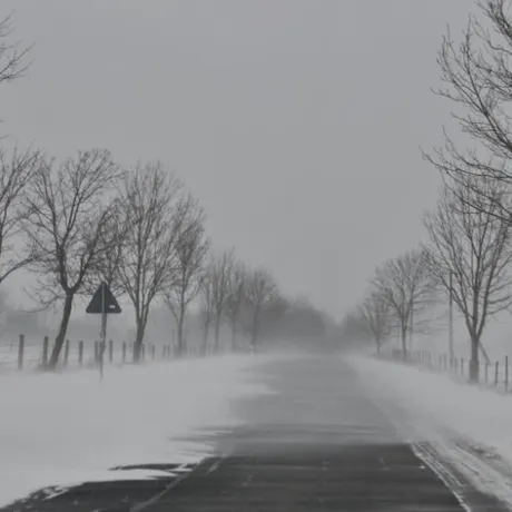 Zawieje i zamiecie śnieżne - Podkarpacie - 28.01.2010 - fot 6