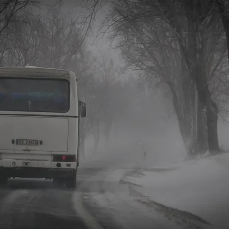 Zawieje i zamiecie śnieżne - Podkarpacie - 28.01.2010 - fot 4