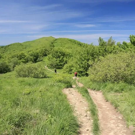 BIESZCZADY - fot 7