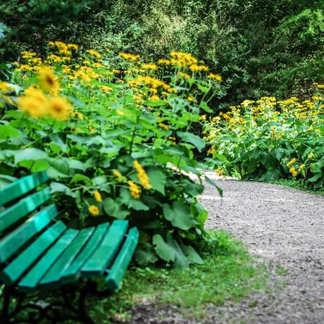 Podkarpacie: Arboretum w Bolestraszycach - fot 23