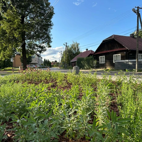 Rzeszów - Budowa strefy wypoczynku i rekreacji na osiedlu Staromieście [lipiec 2024] - fot 13