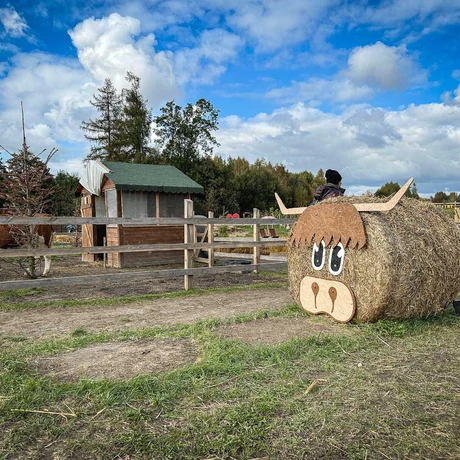 Rzeszów - Weekend na Farmie Rzeszowskiej - fot 81