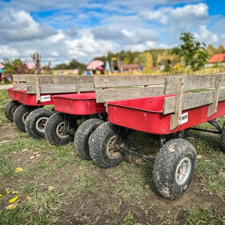 Rzeszów - Weekend na Farmie Rzeszowskiej - fot 48