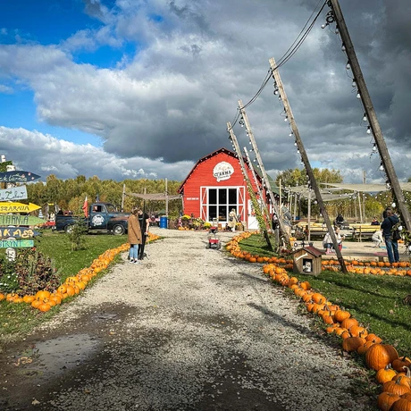 Rzeszów - Weekend na Farmie Rzeszowskiej - fot 16