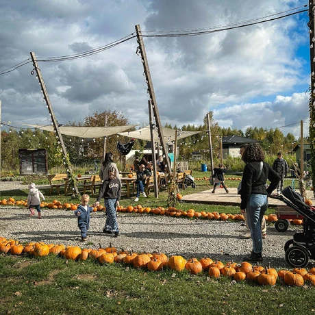 Rzeszów - Weekend na Farmie Rzeszowskiej - fot 28