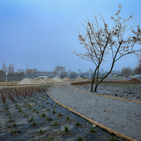 Rzeszów - Budowa miejskiej plaży nad Wisłokiem [listopad 2024] - fot 8