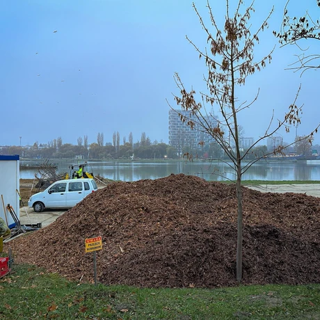 Rzeszów - Budowa miejskiej plaży nad Wisłokiem [listopad 2024] - fot 5