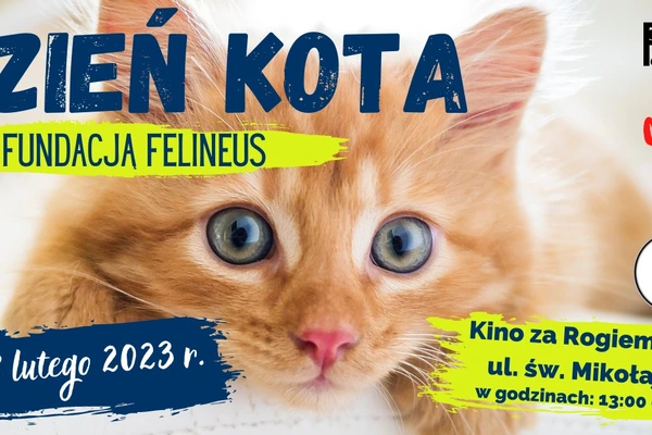 Dzień Kota z Fundacją Felineus