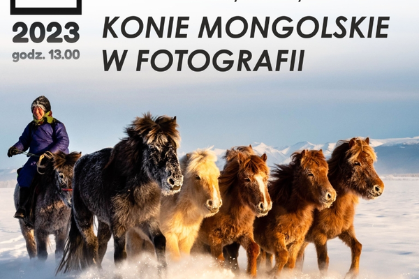 Konie Mongolskie w Fotografii