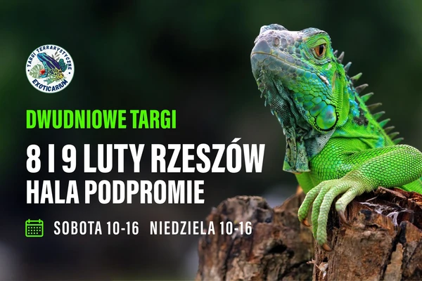 EXOTICARIUM - targi terrarystyczne