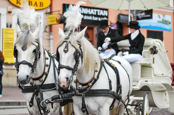 Rzeszów - Juwenalia 2014 - Studencki Korowód na Rynku