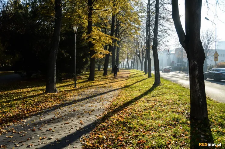 Rzeszów - Barwy Jesieni. Spacer po Rzeszowie