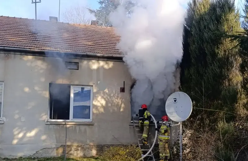 Tragiczny pożar domu w Pilźnie. Nie żyje kobieta i dwa psy