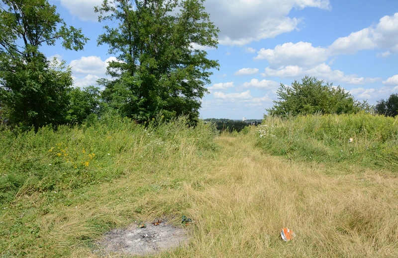 9 marca wielkie sprzątanie nad Wisłokiem. Po akcji odbędzie się piknik