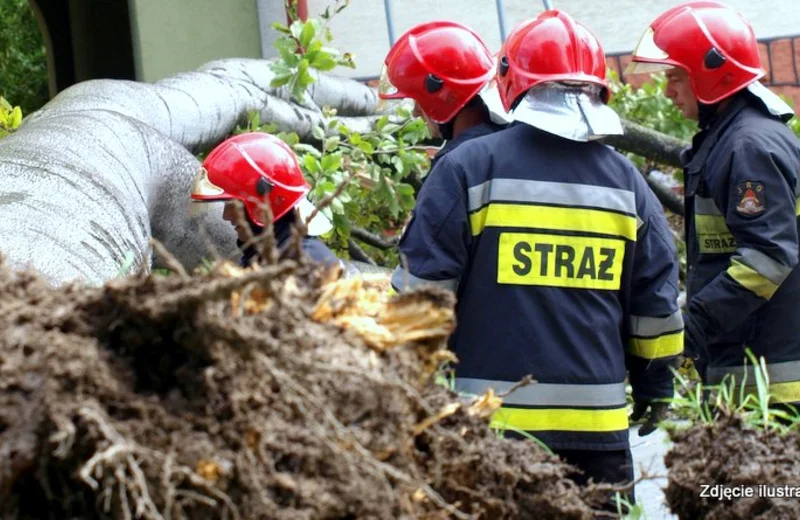 126 interwencji strażaków na Podkarpaciu. W Rzeszowie było spokojnie 