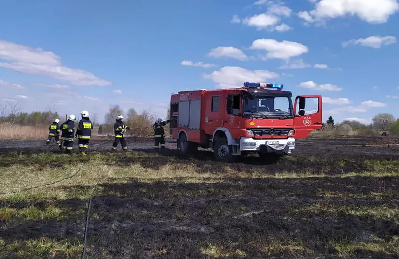 Pożary traw i nieużytków rolnych na Zalesiu. Dwukrotna interwencja strażaków 