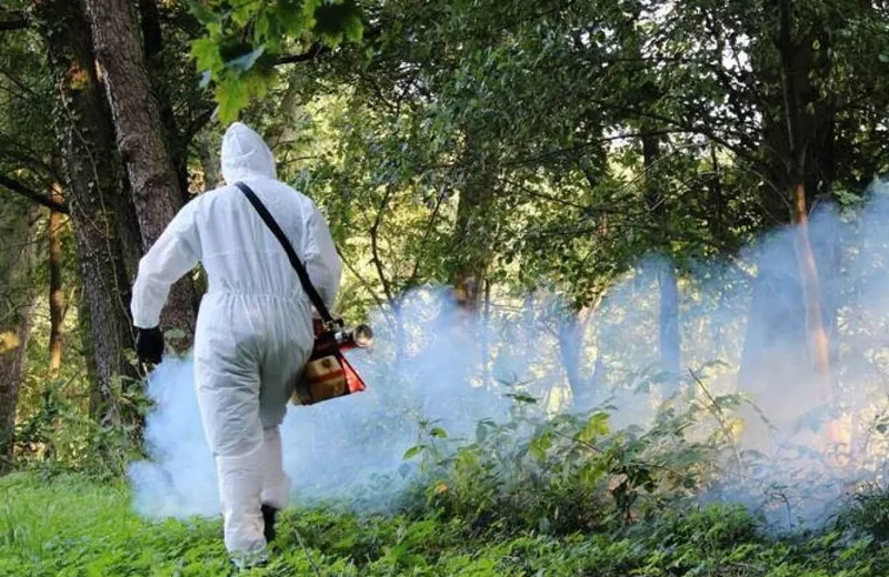 Ciąg dalszy walki z komarami i kleszczami w Rzeszowie