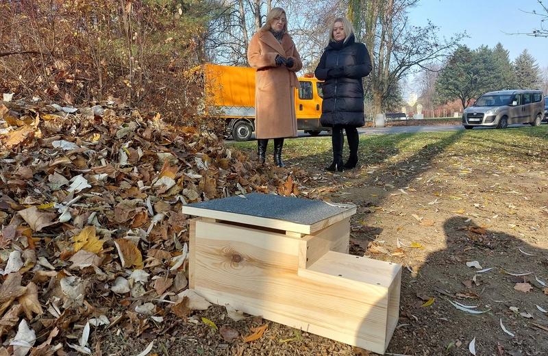 Domki dla jeży w miejskich parkach. Na wniosek mieszkańców