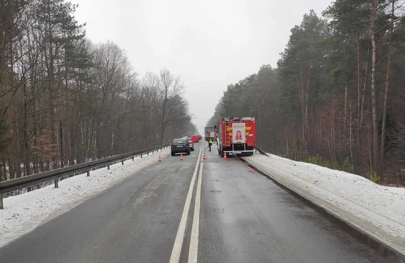 Śmiertelny wpadek na DW 875. Nie żyje 1 osoba