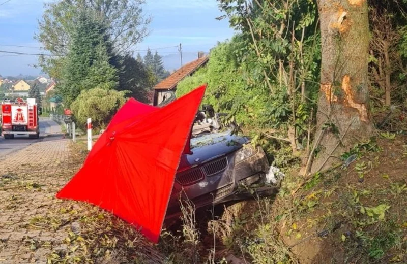 Tragiczny wypadek w pow. strzyżowskim. Nie żyje 29-letni kierowca bmw