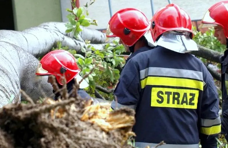 Dziesiątki interwencji strażaków w związku z silnym wiatrem na Podkarpaciu