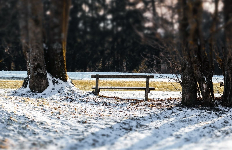 Czym kierować się podczas wyboru ławek miejskich?