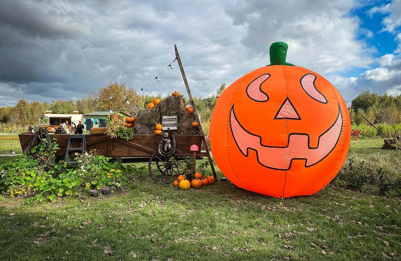 Ostatni jesienny weekend na Farmie Rzeszowskiej w klimacie Halloween 