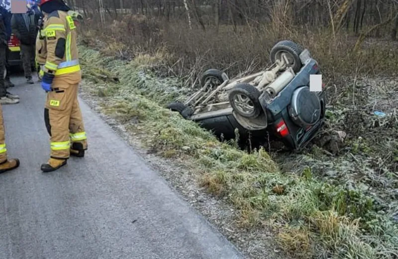 Pies wbiegł pod koła samochodu, kierująca dachowała