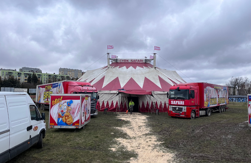 Cyrk Safari przyjedzie do Rzeszowa z nowym widowiskiem „Dream Circus"