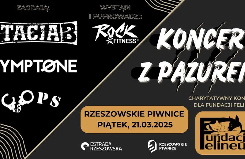 Charytatywny „Koncert z Pazurem” dla Fundacji Felineus