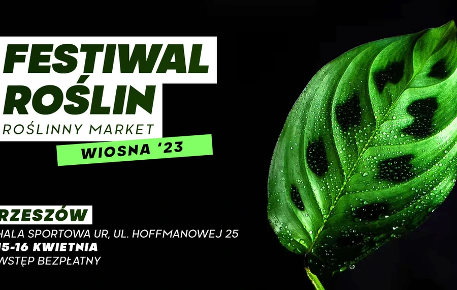 Festiwal Roślin