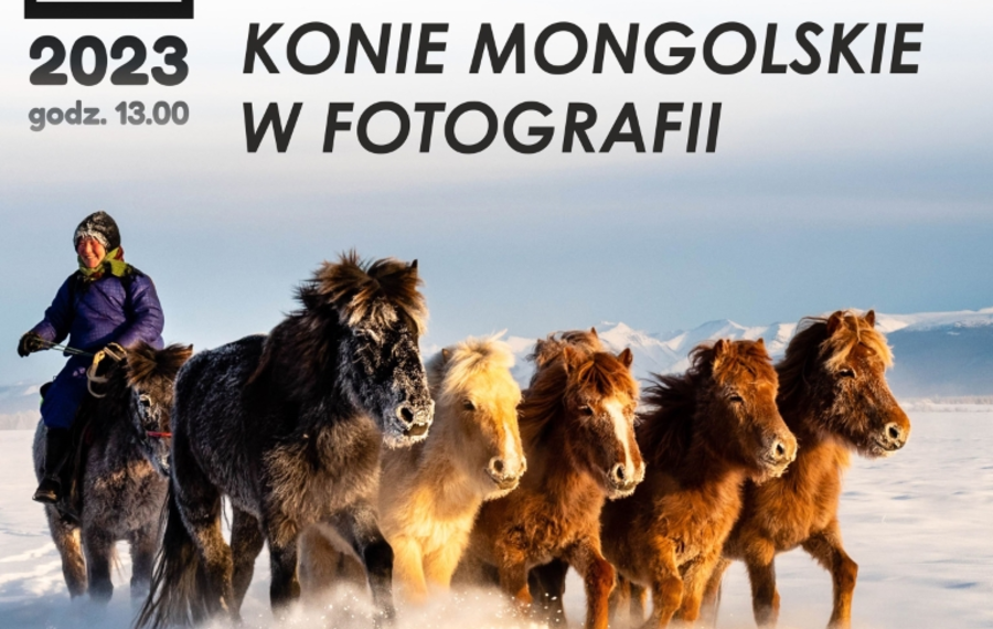 Konie Mongolskie w Fotografii