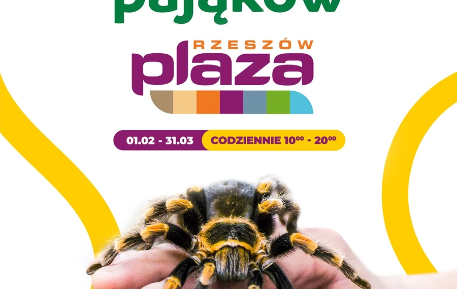 Wystawa Pająków