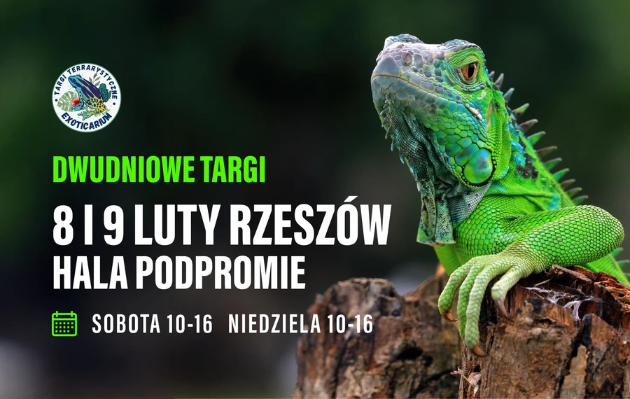 EXOTICARIUM - targi terrarystyczne