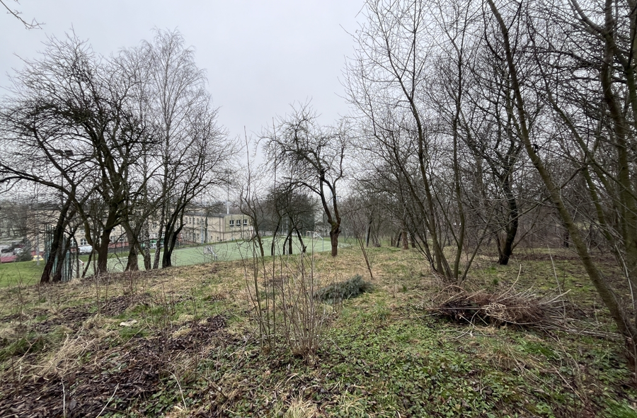 Na zdj. Fragment terenu w rejonie ul. Szkolnej i Gajowej, na którym ma powstać jeden z czterech nowych ogrodów kieszonkowych / fot. RESinet.pl